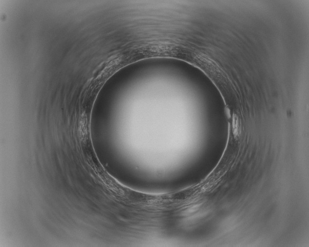 X0000065231107200602171351