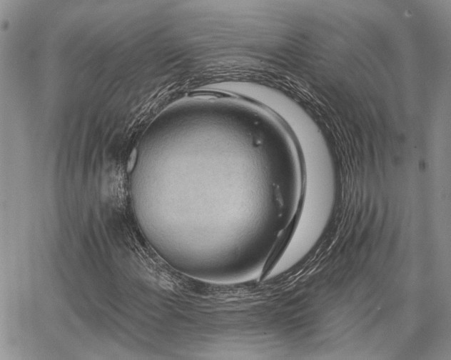 X0000065231108200602171351