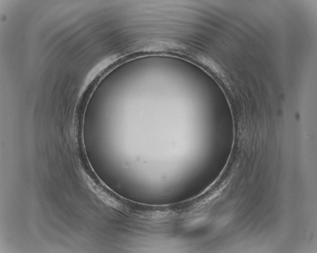 X0000065231122200602171352