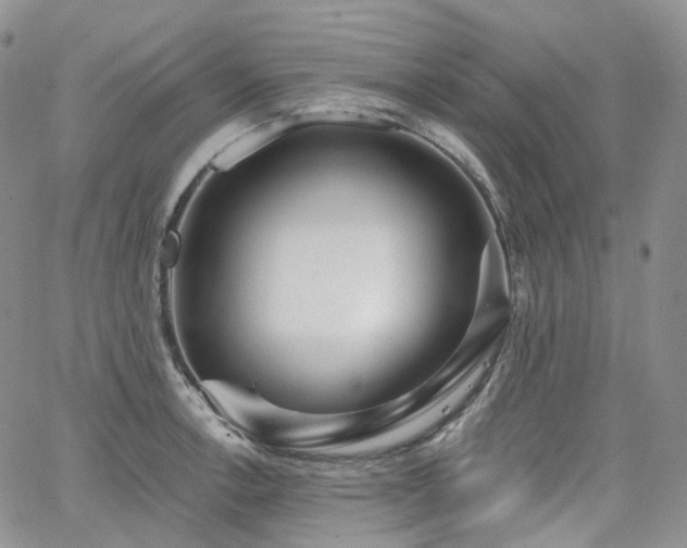 X0000065231138200602171352