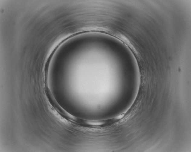 X0000065231140200602171352