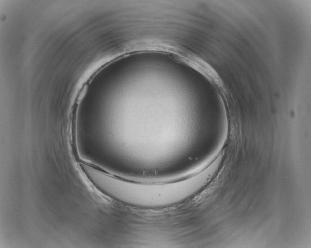X0000065231144200602171352