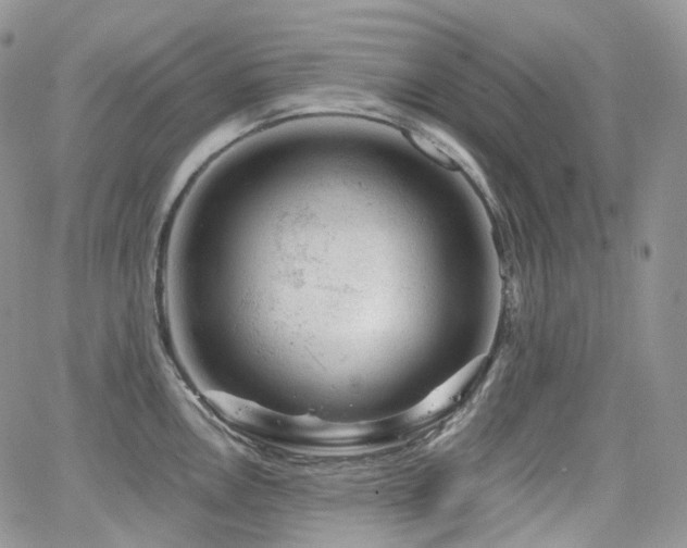 X0000065231146200602171352