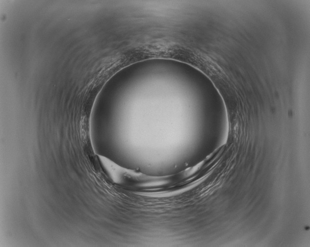 X0000065231156200602171351