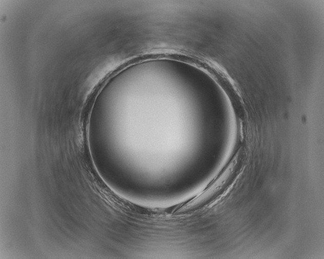 X0000065231167200602171351