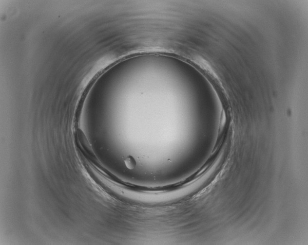 X0000065231181200602171351
