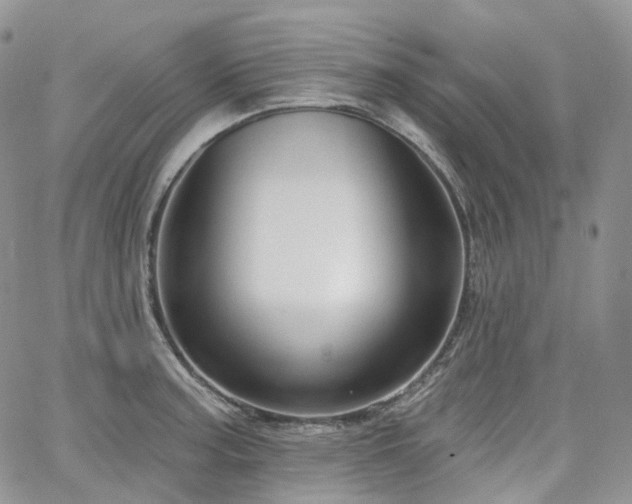 X0000065231187200602171351
