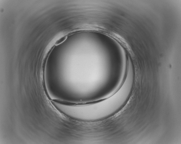 X0000065231188200602171351