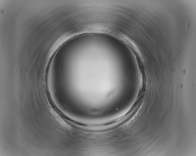 X0000065231192200602171351