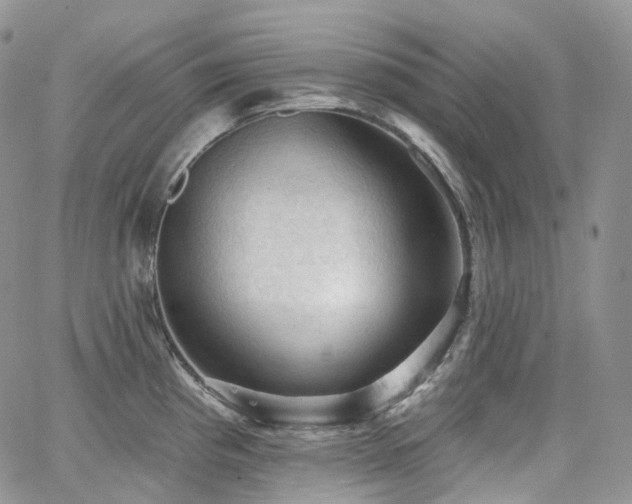 X0000065231193200602171351