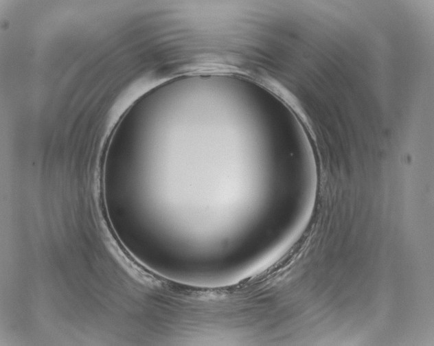 X0000065231195200602171351