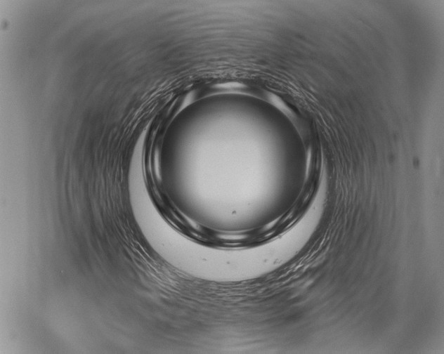 X0000065231202200602171350