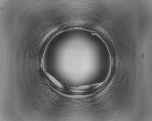 X0000065231210200602171350