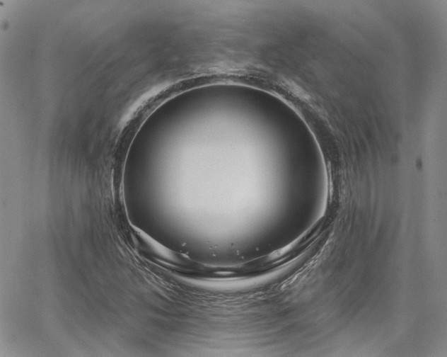 X0000065231214200602171350