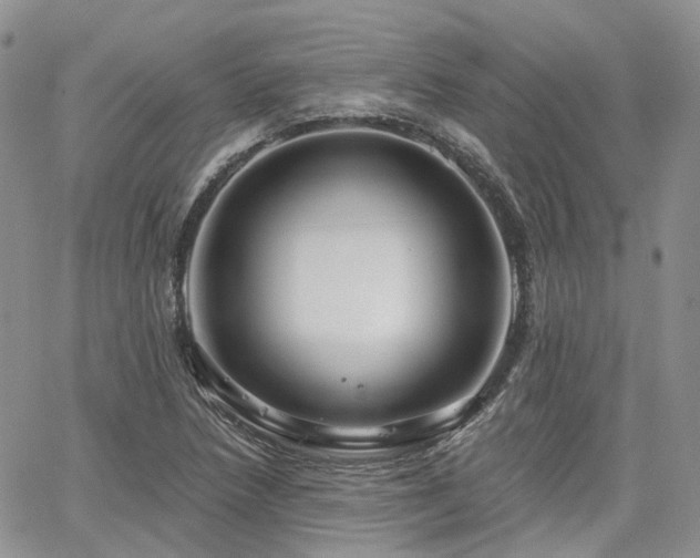 X0000065231218200602171350