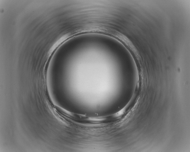 X0000065231242200602171350