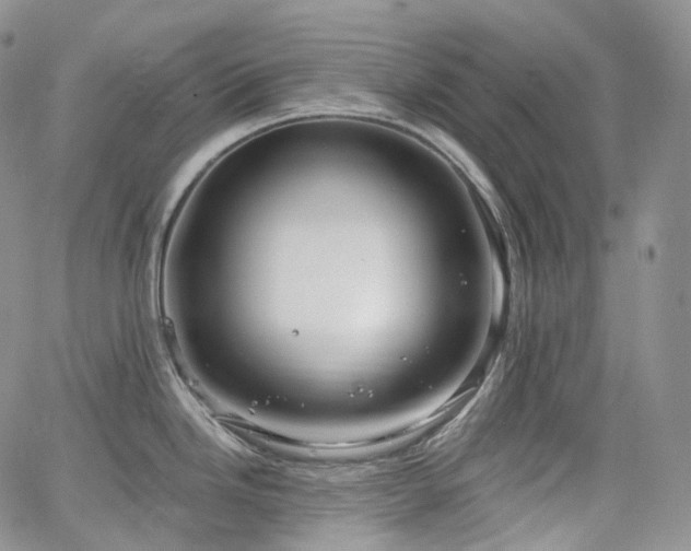 X0000065231246200602171350