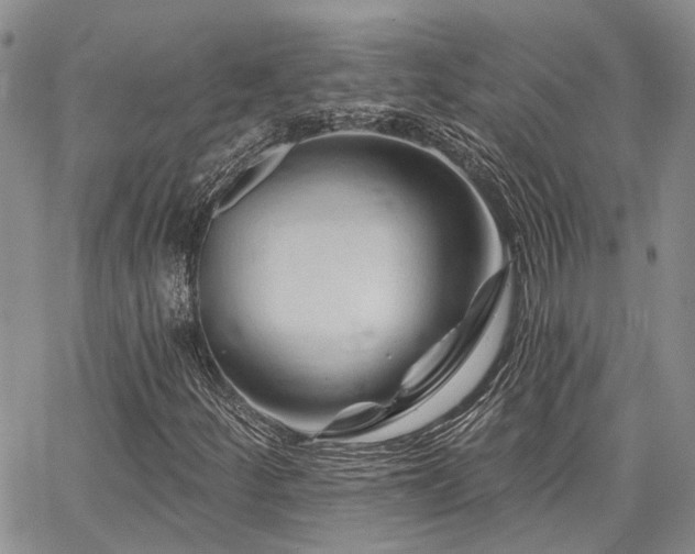 X0000065231252200602171350