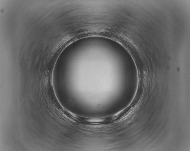 X0000065231257200602171349