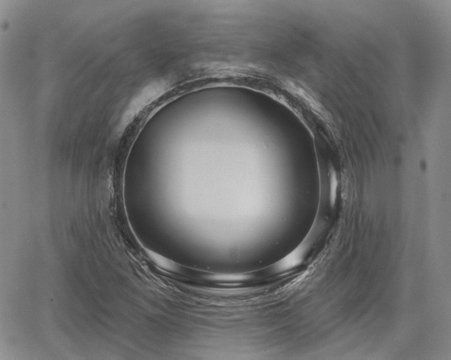 X0000065231261200602171349