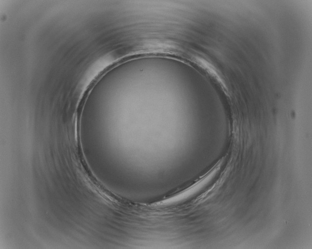 X0000065231275200602171349