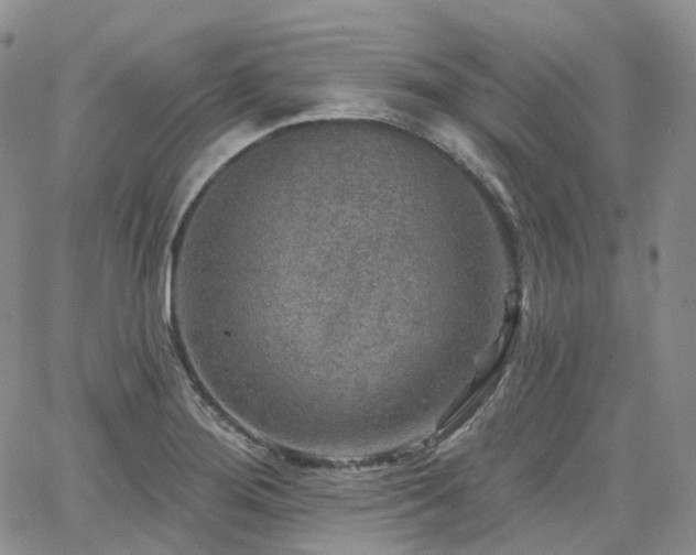 X0000065231276200602171349