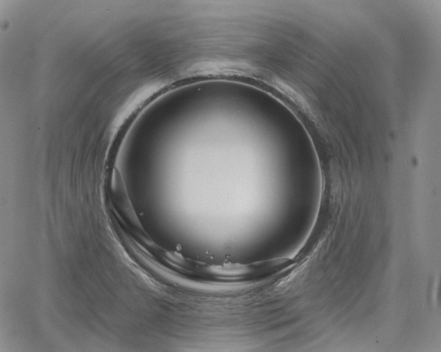 X0000065231277200602171349