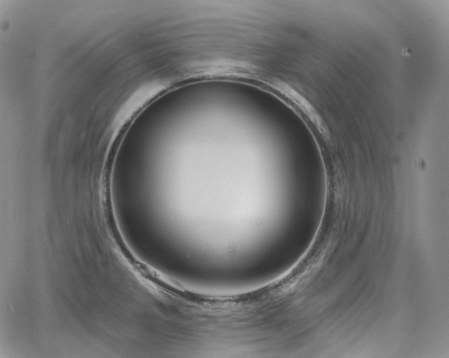 X0000065231285200602171349