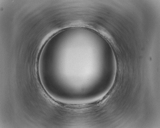 X0000065231288200602171349