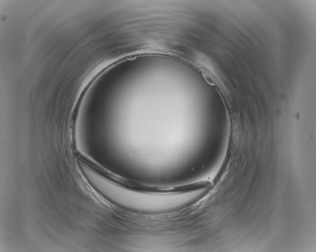 X0000065231292200602171349
