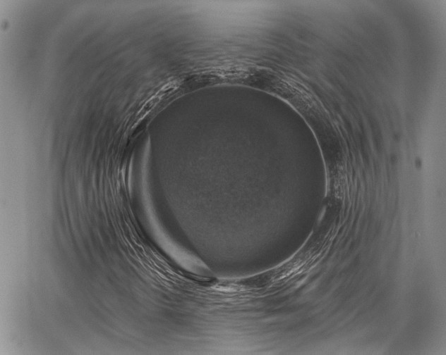 X0000065231298200602171348