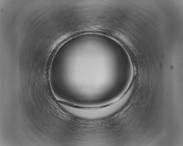 X0000065231308200602171348