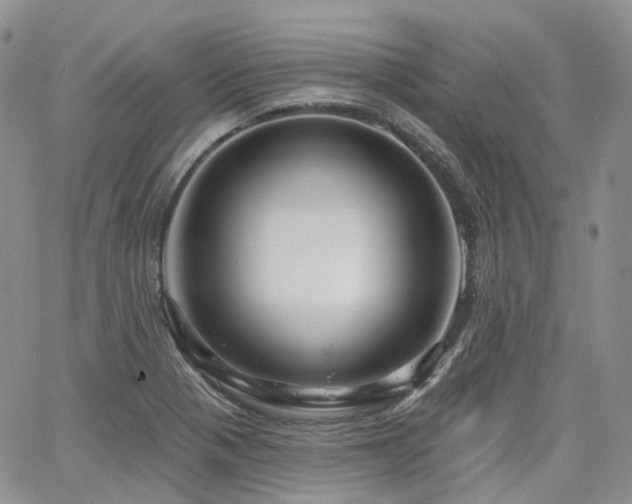 X0000065231321200602171348