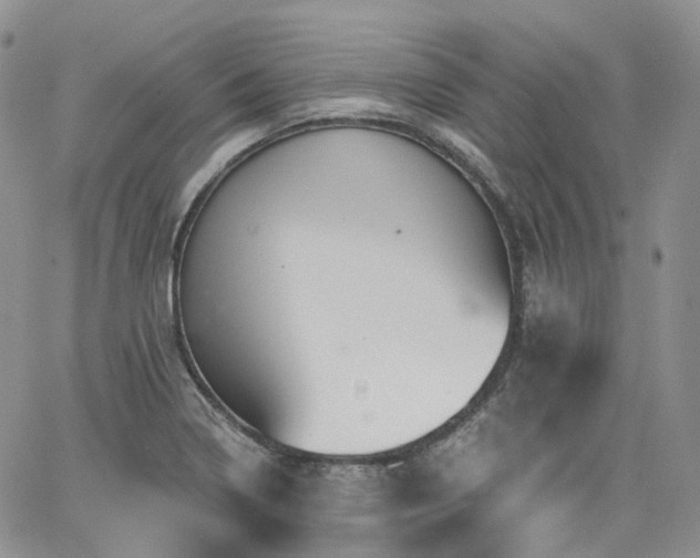 X0000065231322200602171348