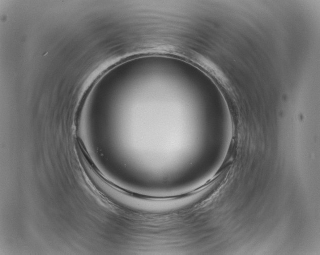 X0000065231332200602171349