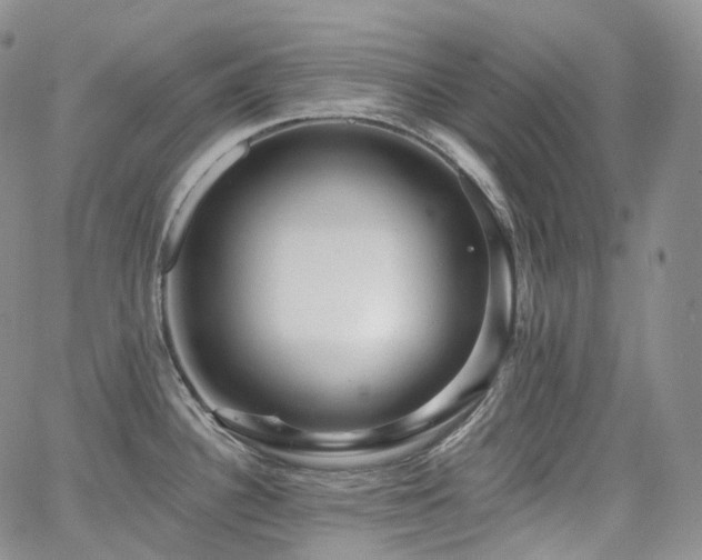 X0000065231340200602171349
