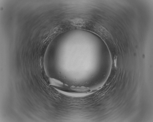 X0000065231347200602171348