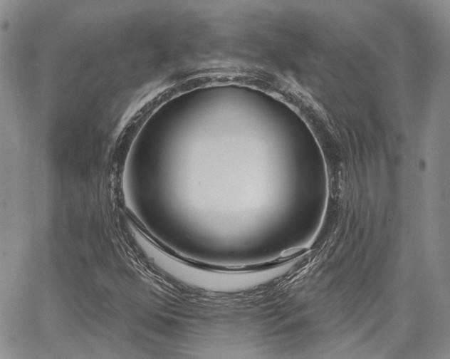 X0000065231352200602171348
