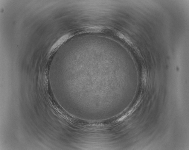 X0000065231354200602171348