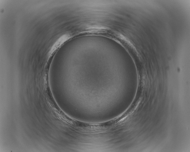 X0000065231362200602171348