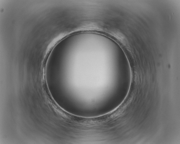 X0000065231366200602171348