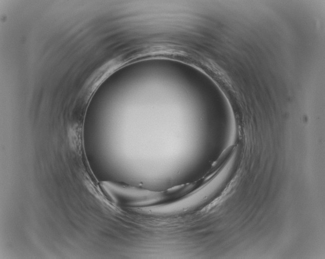 X0000065231369200602171348