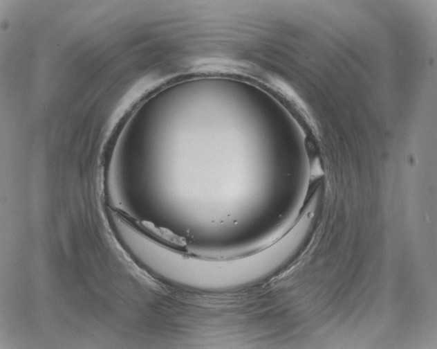 X0000065231376200602171348