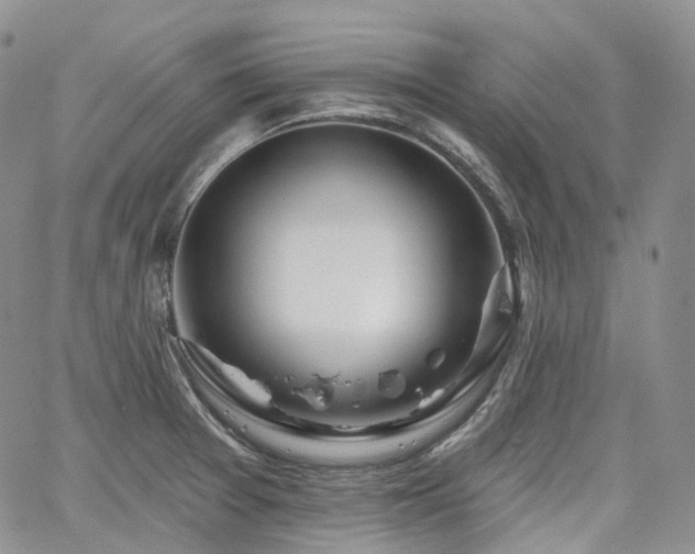X0000065231377200602171348