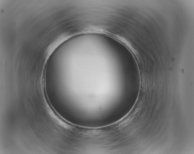 X0000065231387200602171347