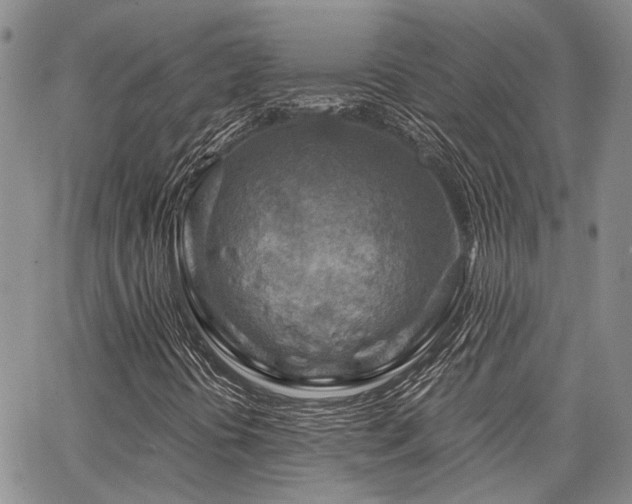 X0000065231394200602171346