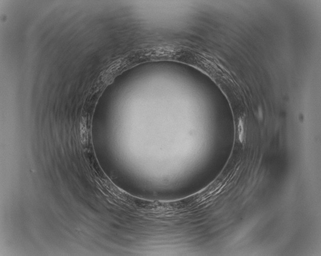 X0000065231395200602171346