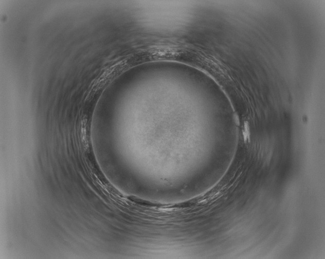 X0000065231396200602171346