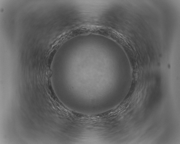 X0000065231397200602171347