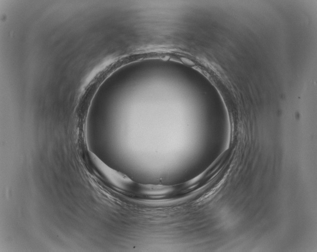 X0000065231406200602171347